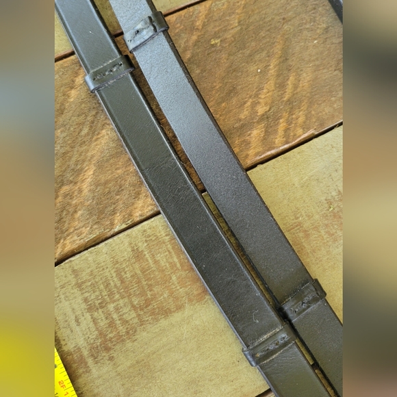 Reins - Picture 3 of 8